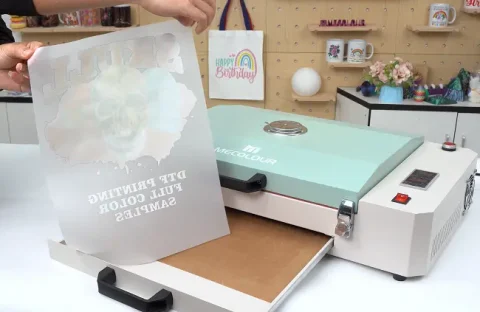 polvo de curado en horno dtf